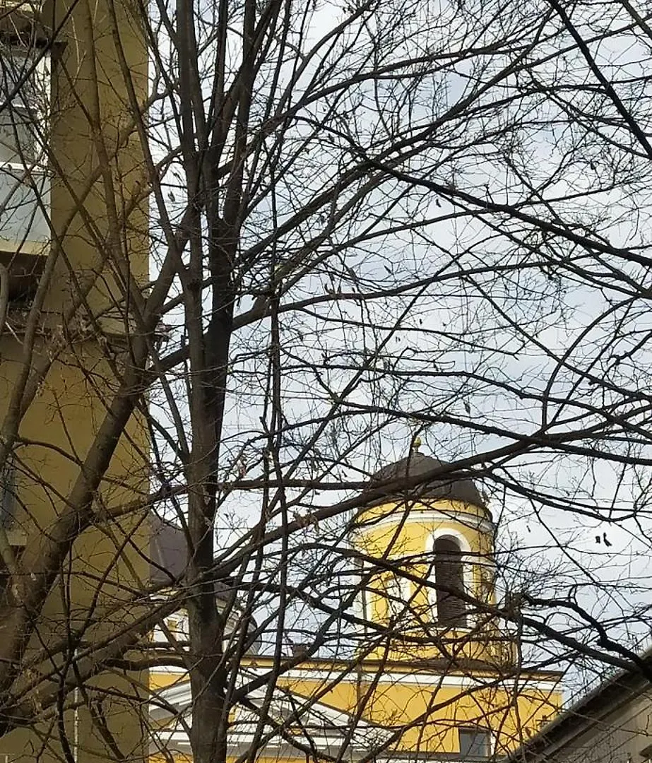 Апартаменты Центр Крещатик Kiev